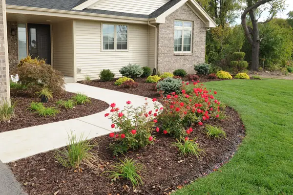 Front entry landscaping with a vivid red rose bed against a trimmed lawn